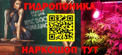 стаф Обь