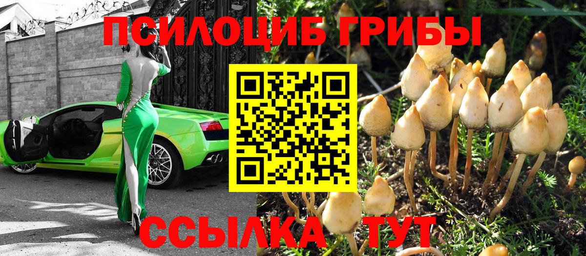 Псилоцибиновые грибы прущие грибы  Вход с VPN  Псилоцибиновые грибы мухоморы  Советск 