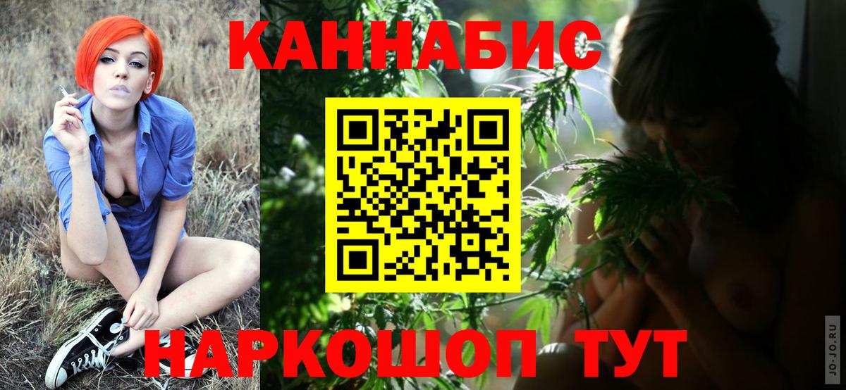Каннабис OG Kush Советск